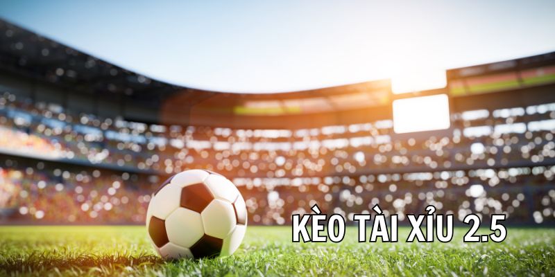 Kèo Tài Xỉu 2.5 Trái - Bí Quyết Soi Kèo Chắc Thắng Từ Chuyên Gia Kèo Tài Xỉu 2.5 Trái - Bí Quyết Soi Kèo Chắc Thắng Từ Chuyên Gia
