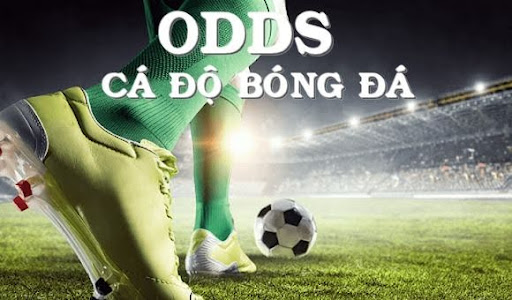 Soi Kèo Odds Chuyên Sâu - Bí Quyết Bắt Kèo Thắng Lớn 2025 cách soi kèo odds